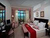 Melia Hotel Grand Hermitage31