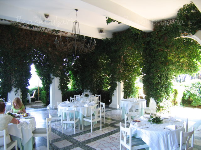 Oasis Boutique Hotel15