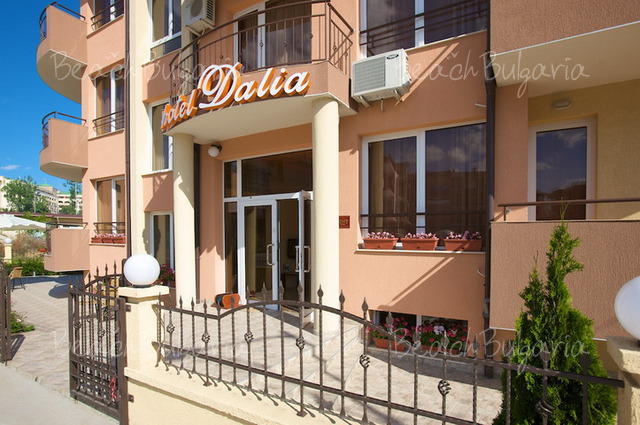 Hotel Dalia3