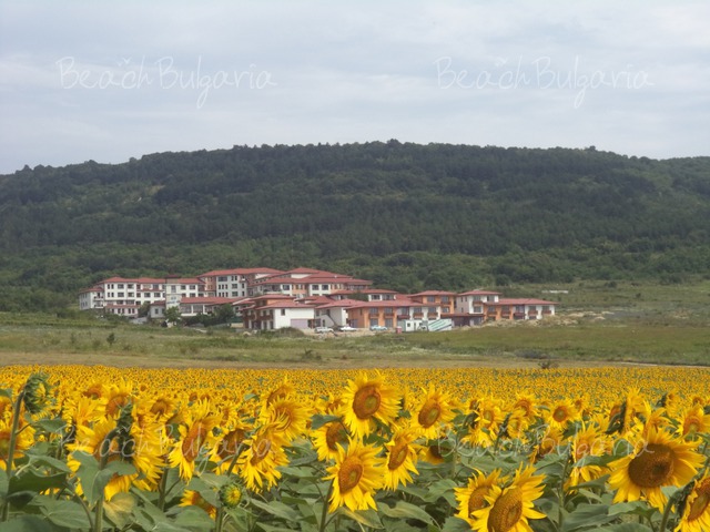 Harmony Hills hotel complex3