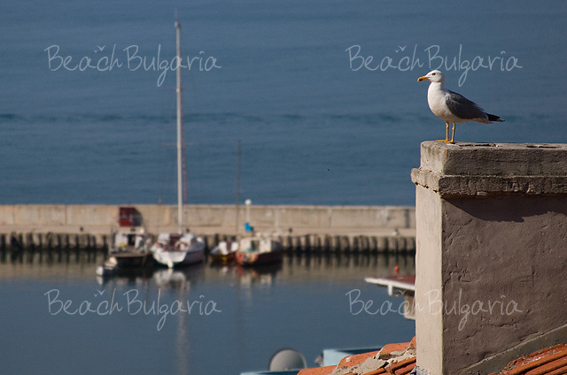 Balchik5