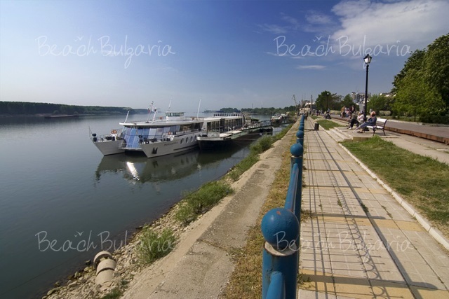 Vidin8